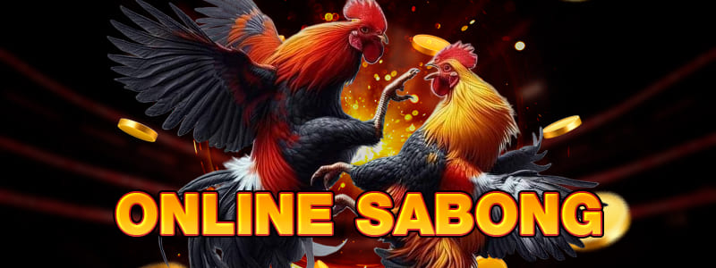 COCK FIGHT